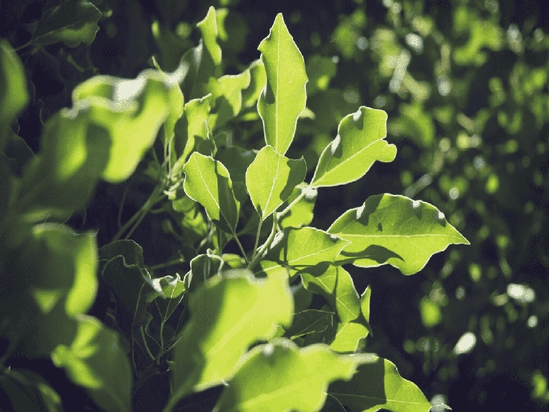 天津三代供卵例子,山东临沂做试管婴儿成功率最高的医院是哪里？如何选-天津