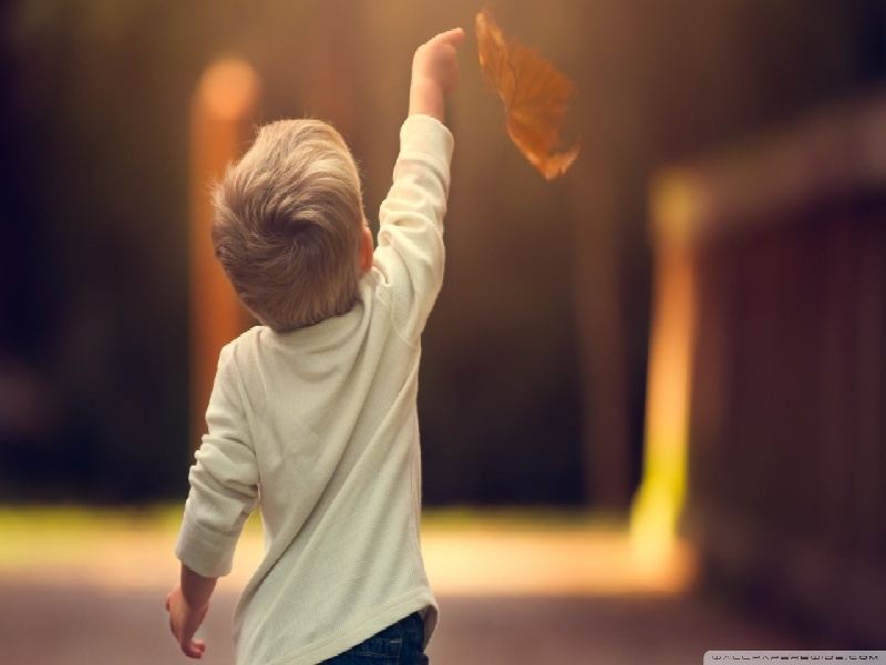 试管婴儿小品（不孕检查哪些及费用）